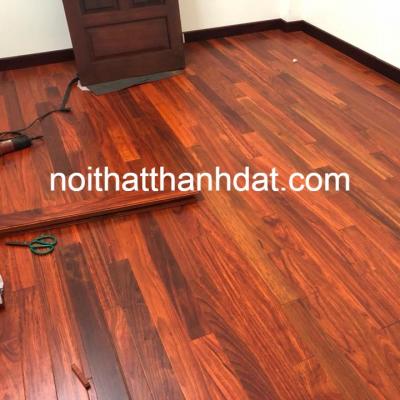 Sàn gỗ tự nhiên Giáng Hương Nam Phi